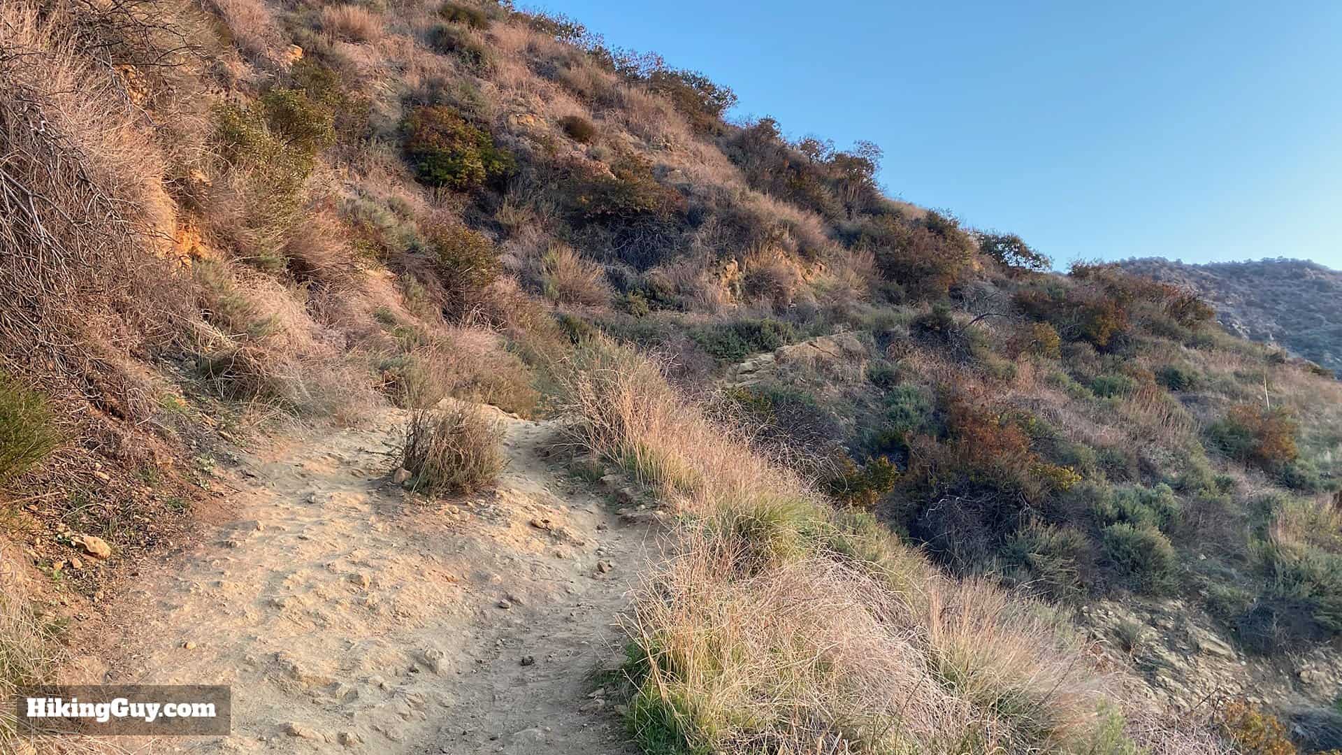 Wisdom Tree Hike Directions 14