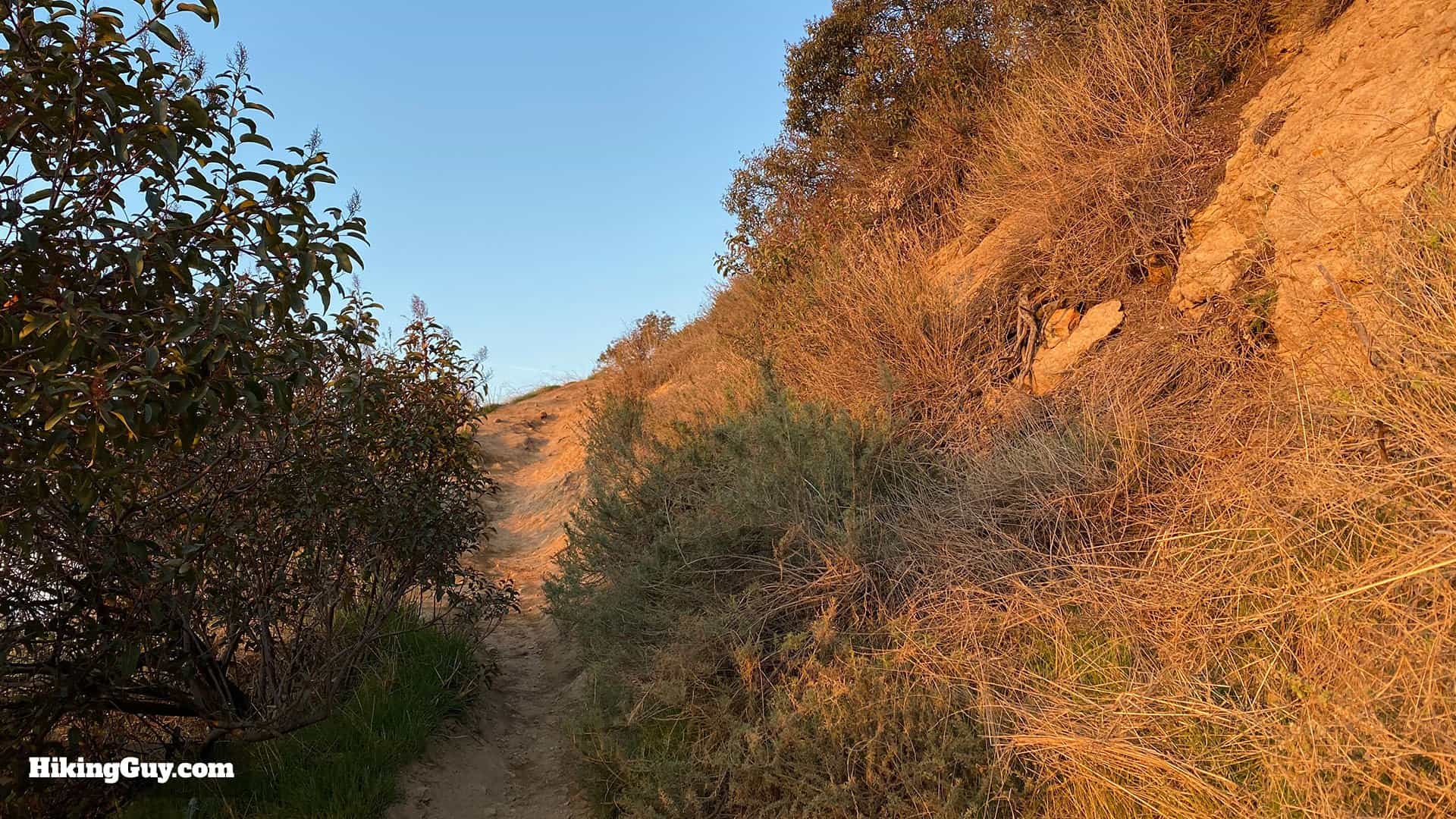 Wisdom Tree Hike Directions 15