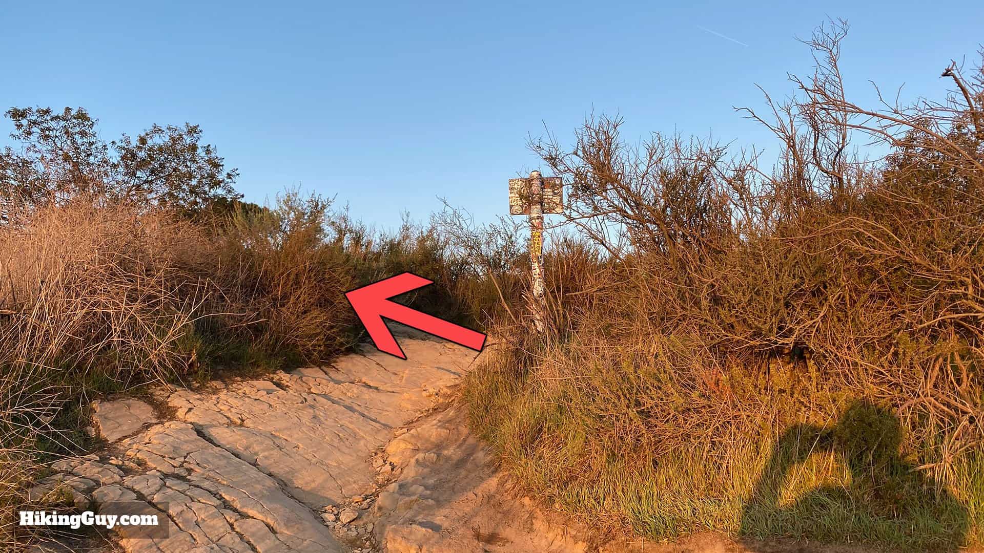 Wisdom Tree Hike Directions 16