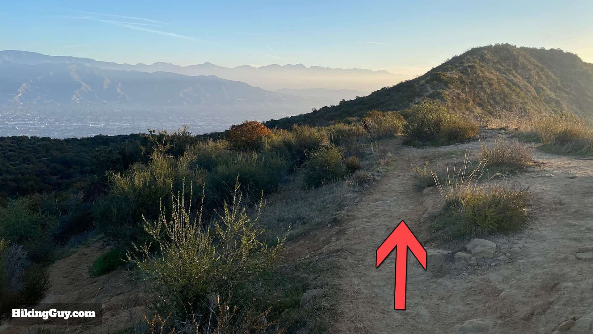 Wisdom Tree Hike Directions 25