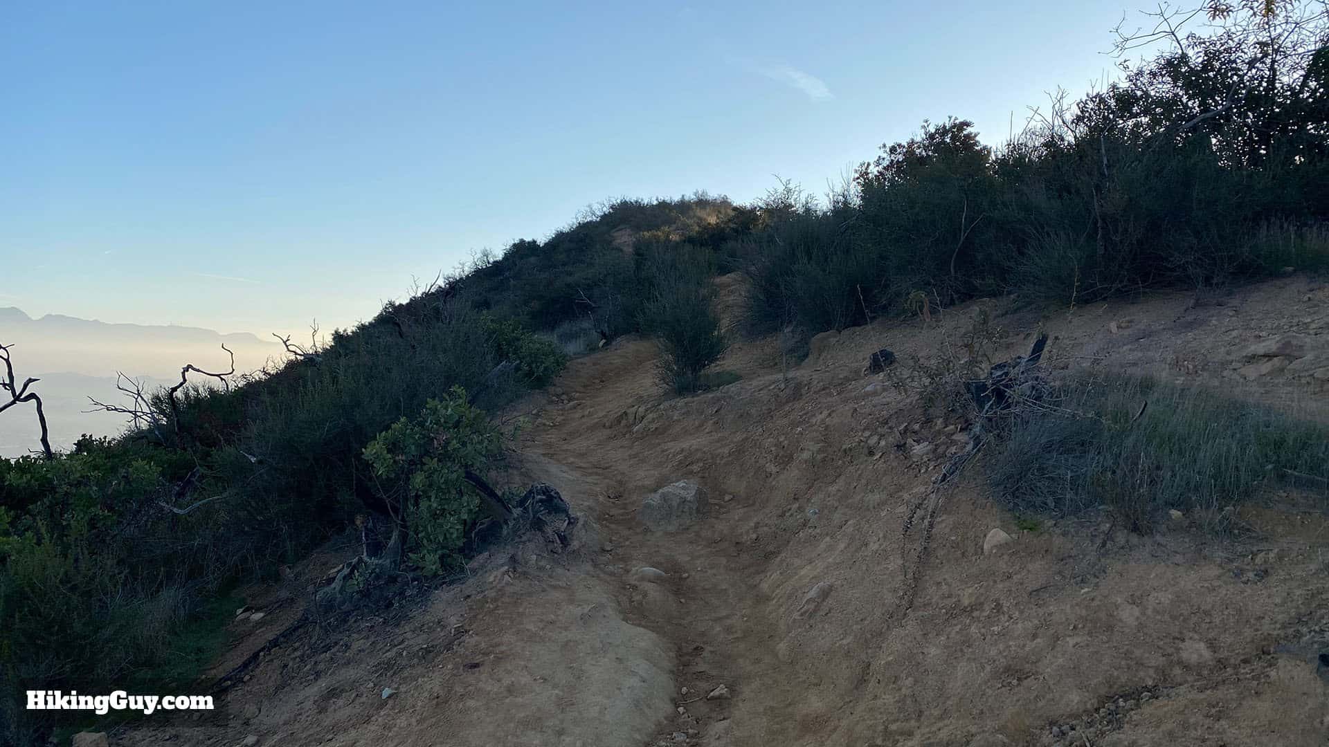 Wisdom Tree Hike Directions 27