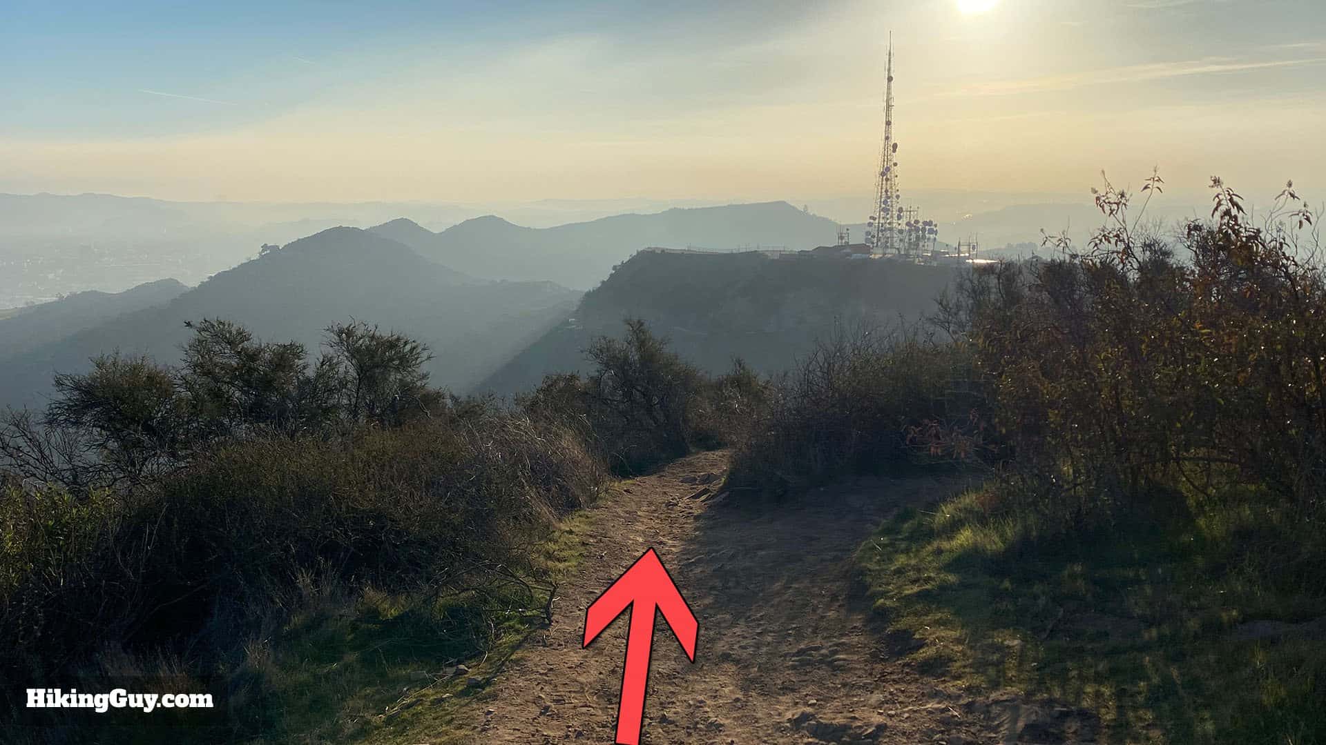 Wisdom Tree Hike Directions 30