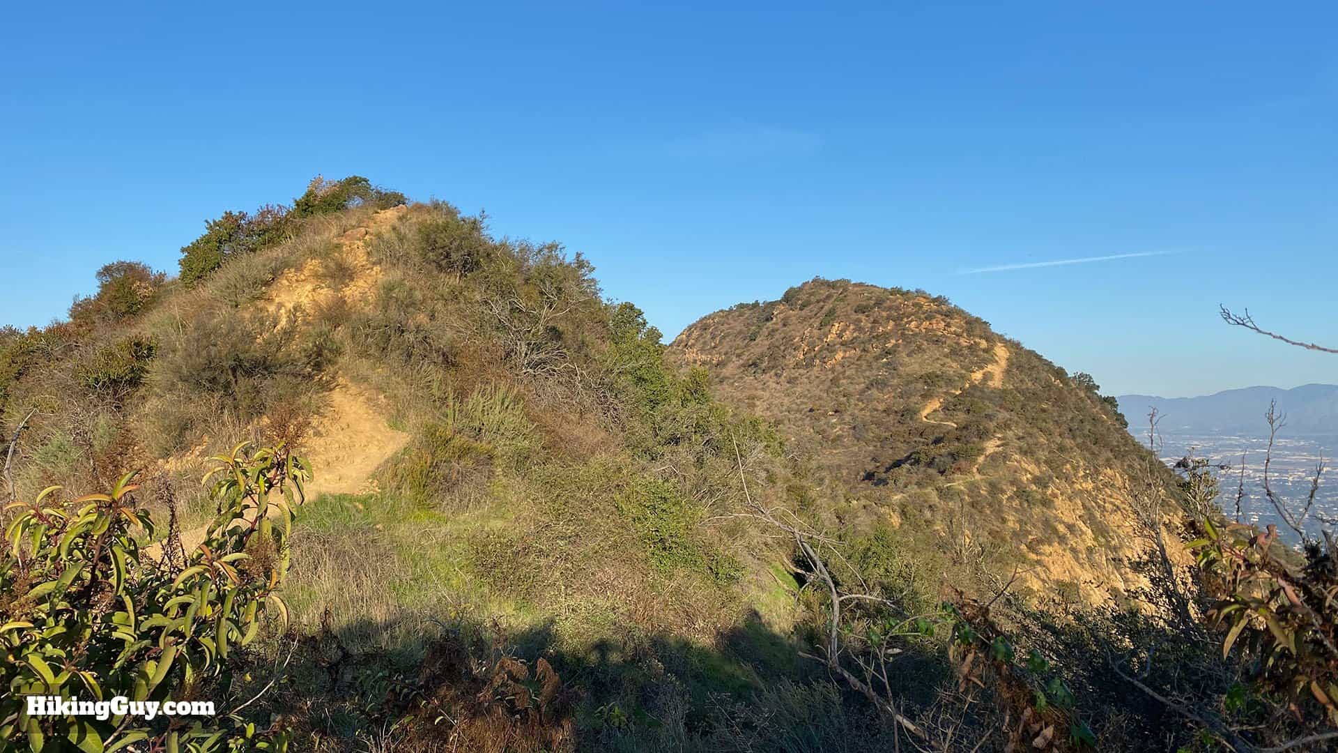 Wisdom Tree Hike Directions 40