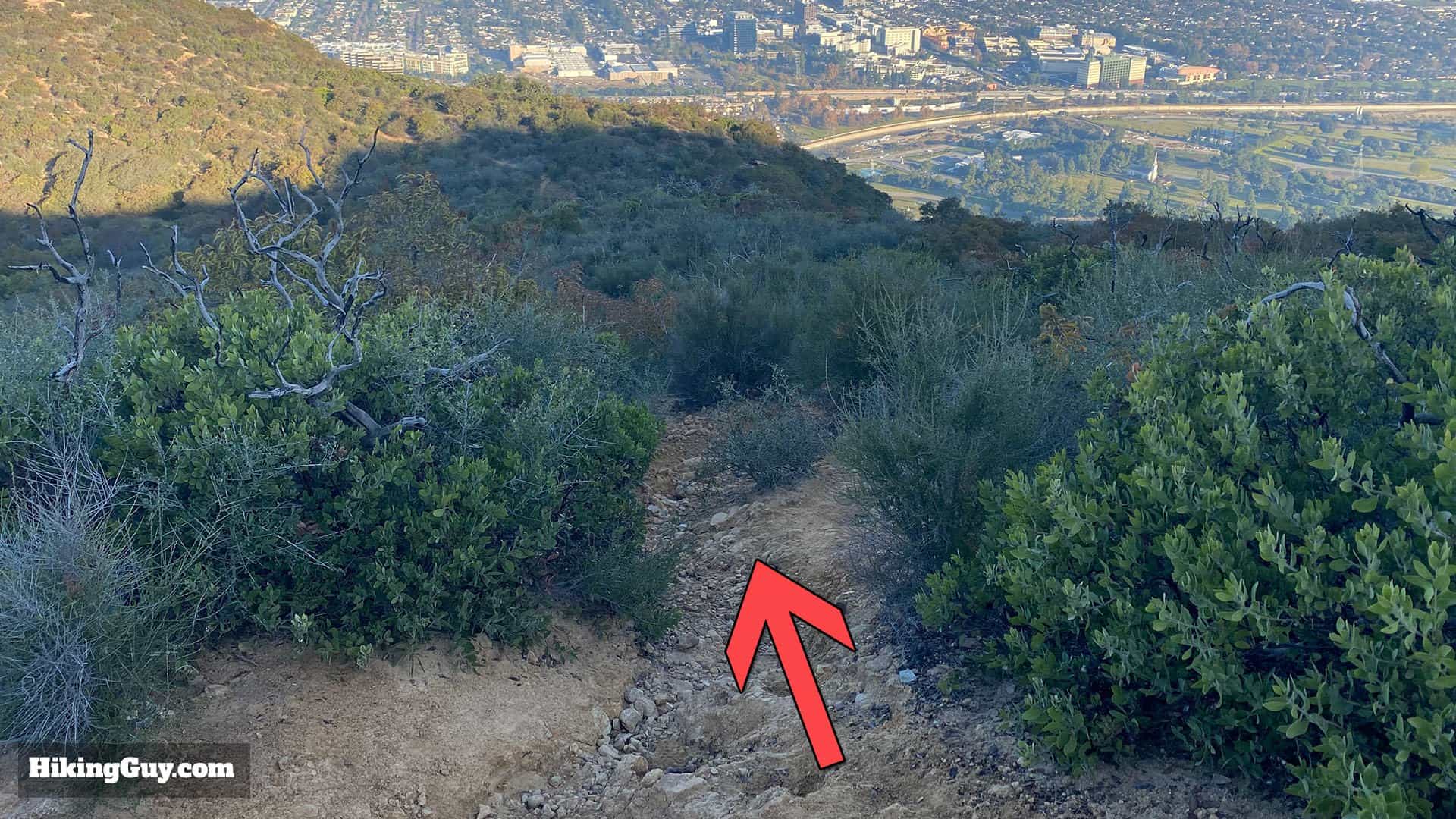 Wisdom Tree Hike Directions 41