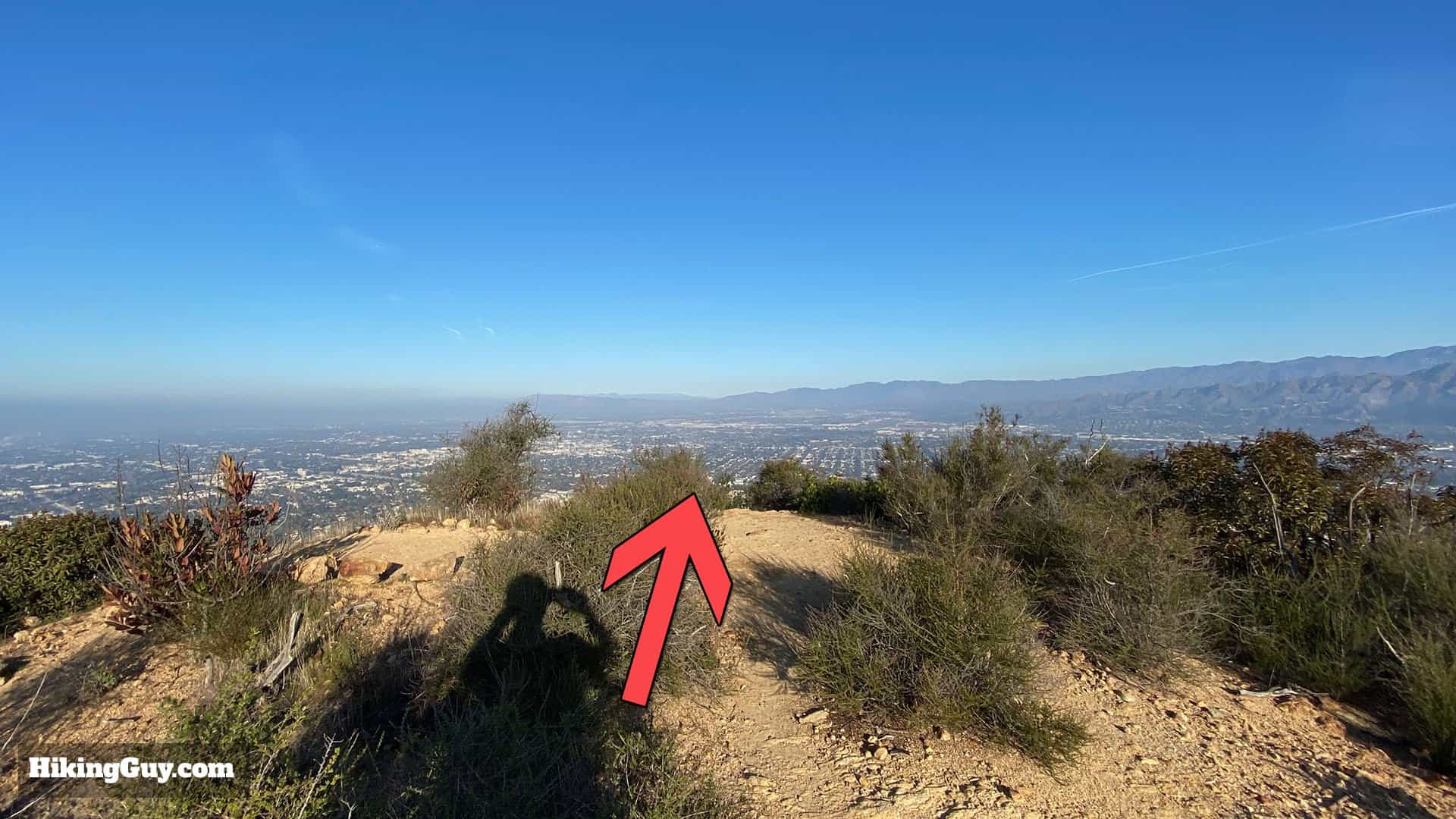 Wisdom Tree Hike Directions 44