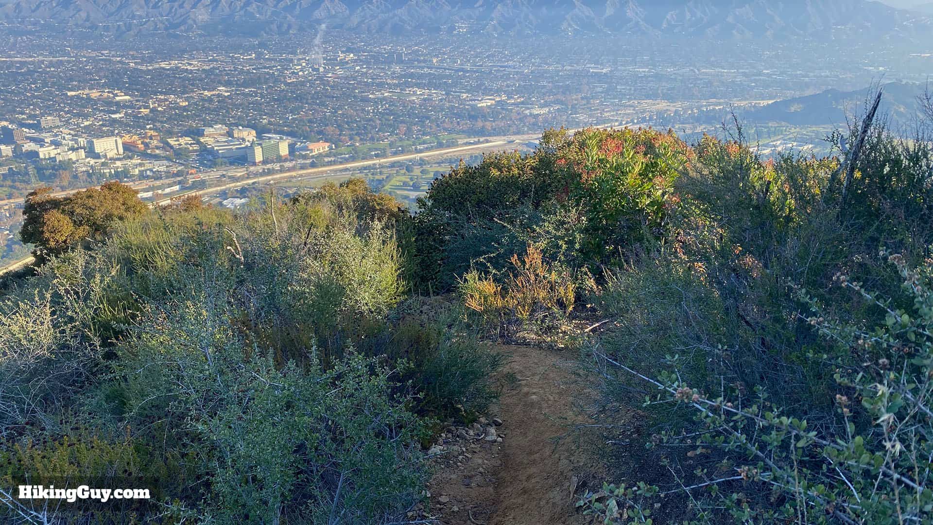Wisdom Tree Hike Directions 45