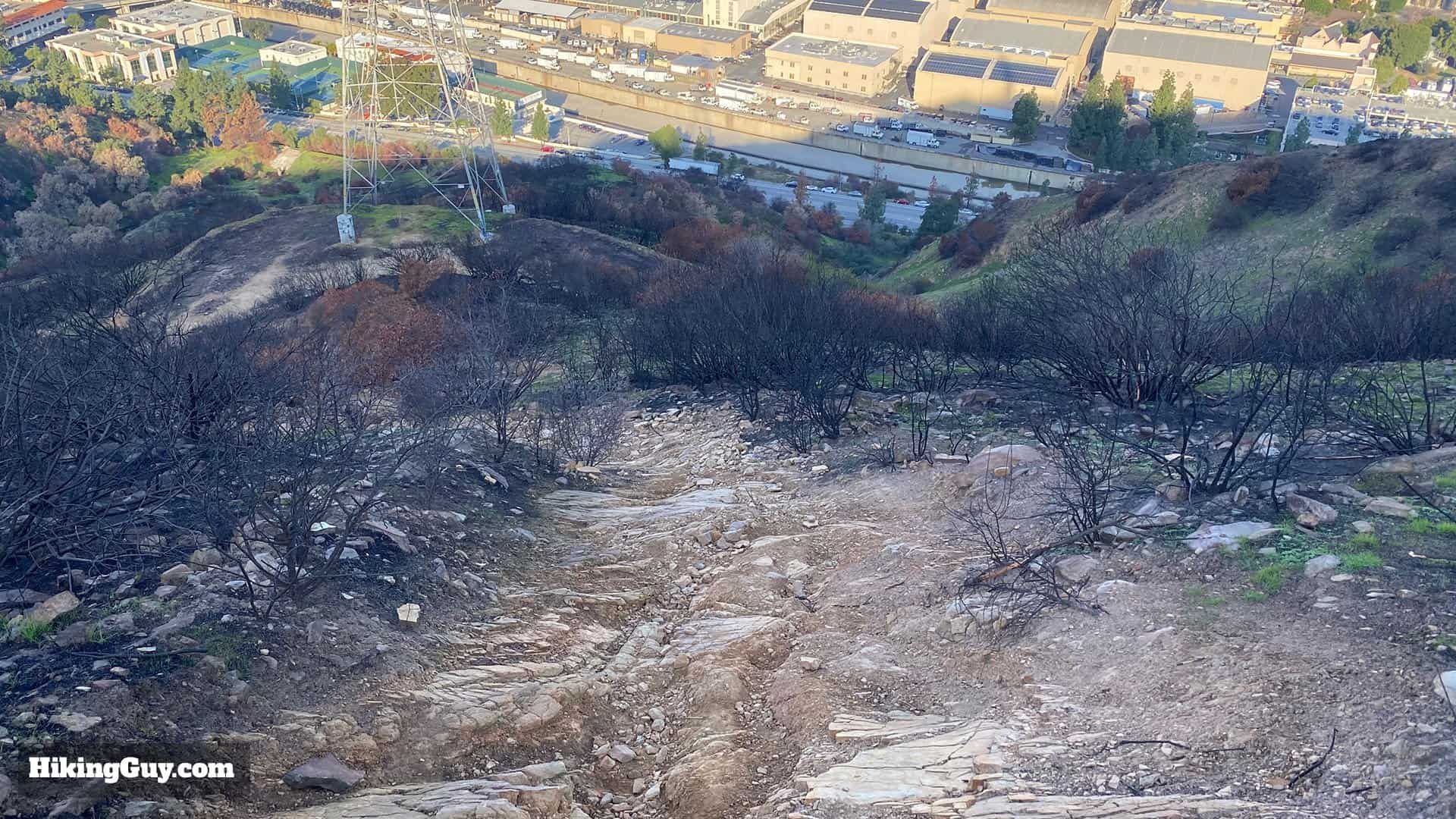 Wisdom Tree Hike Directions 50