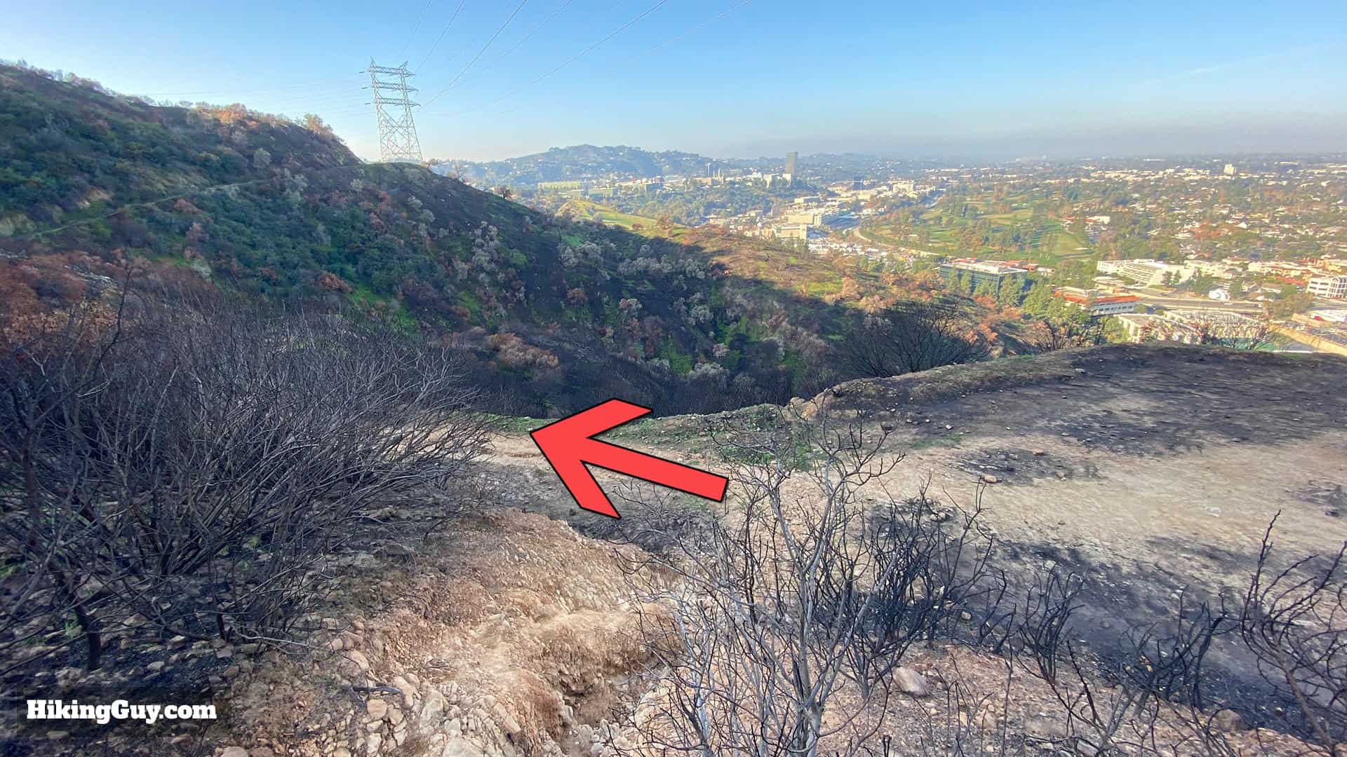 Wisdom Tree Hike Directions 51