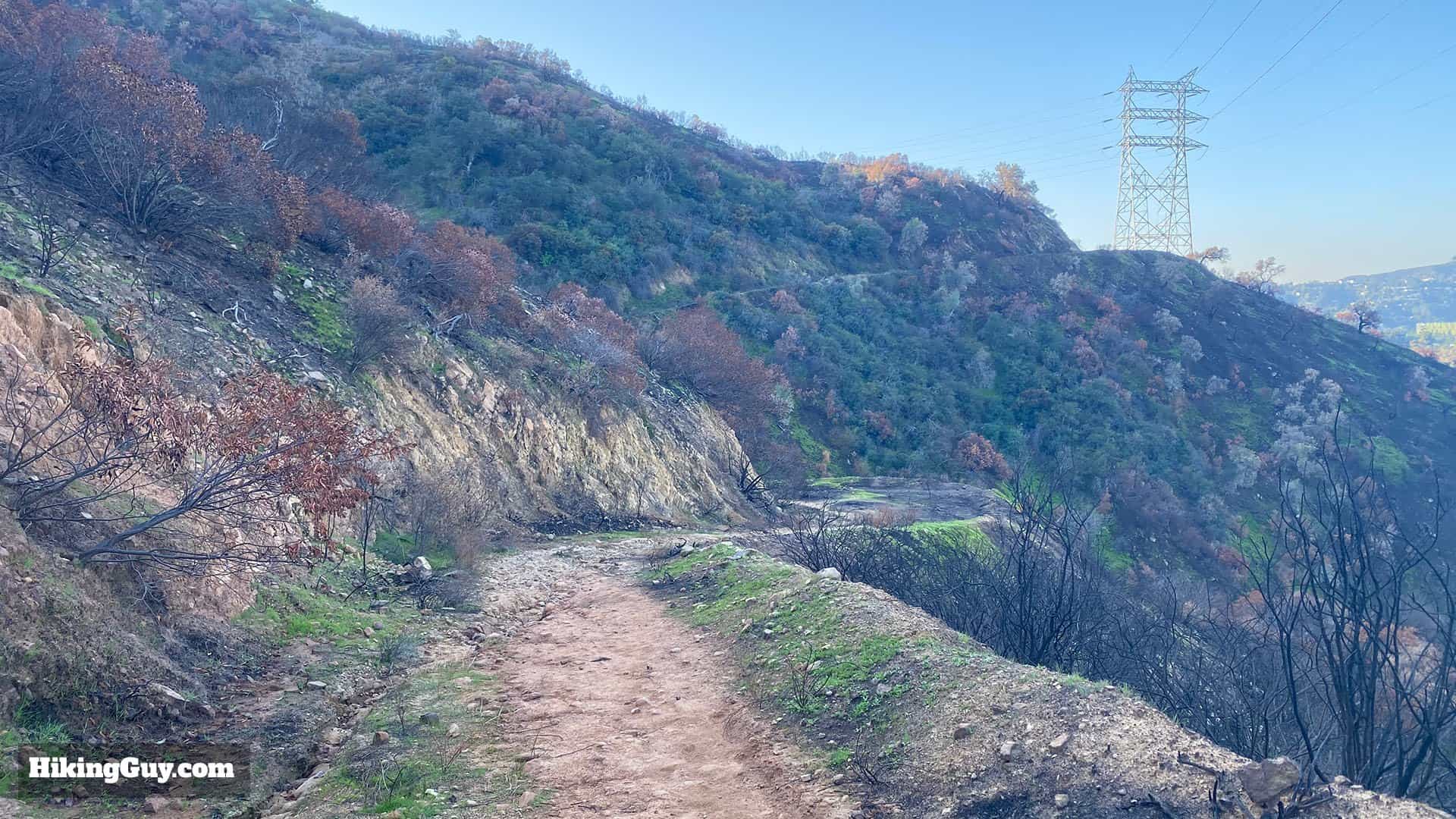 Wisdom Tree Hike Directions 52