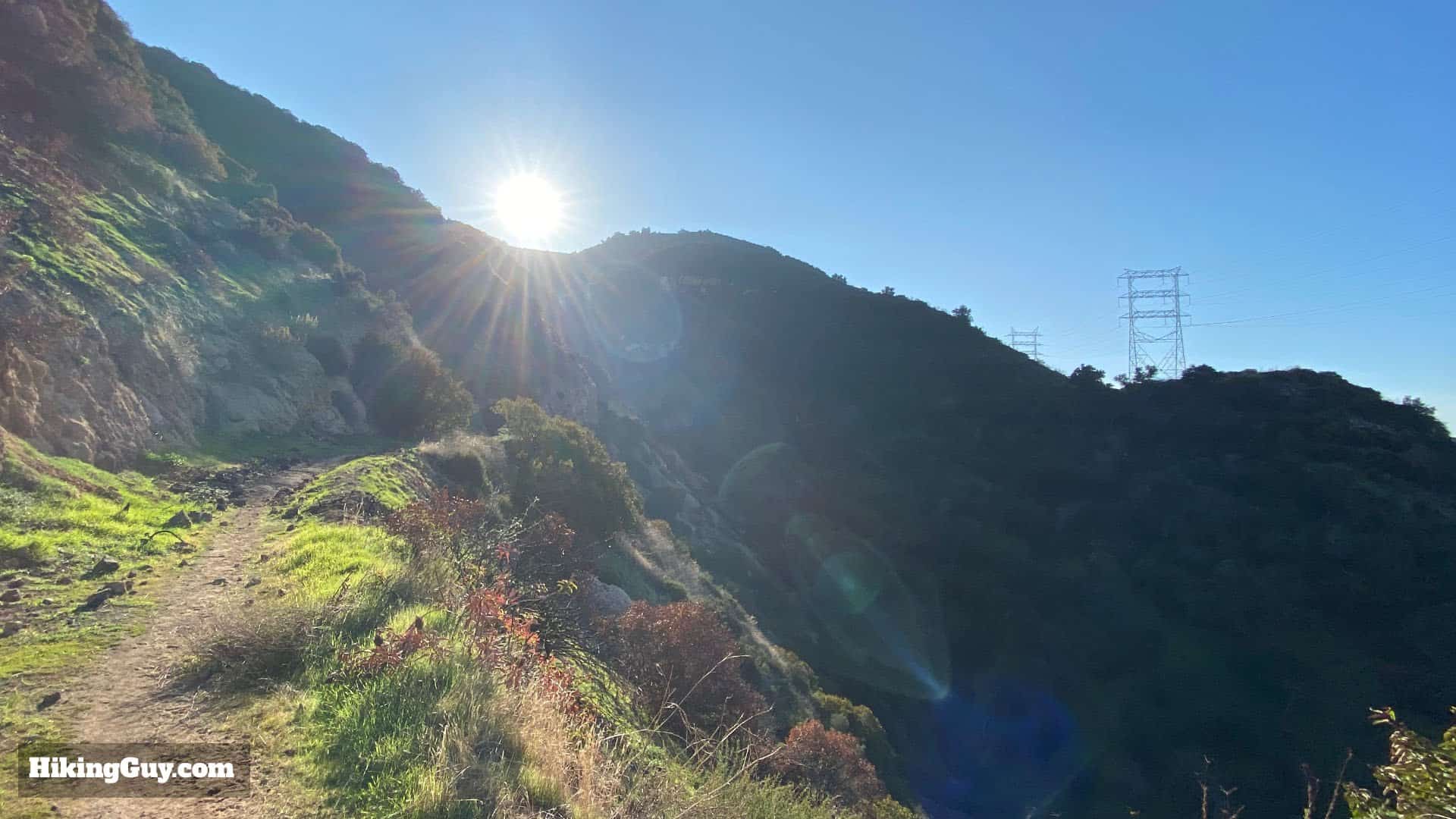 Wisdom Tree Hike Directions 53