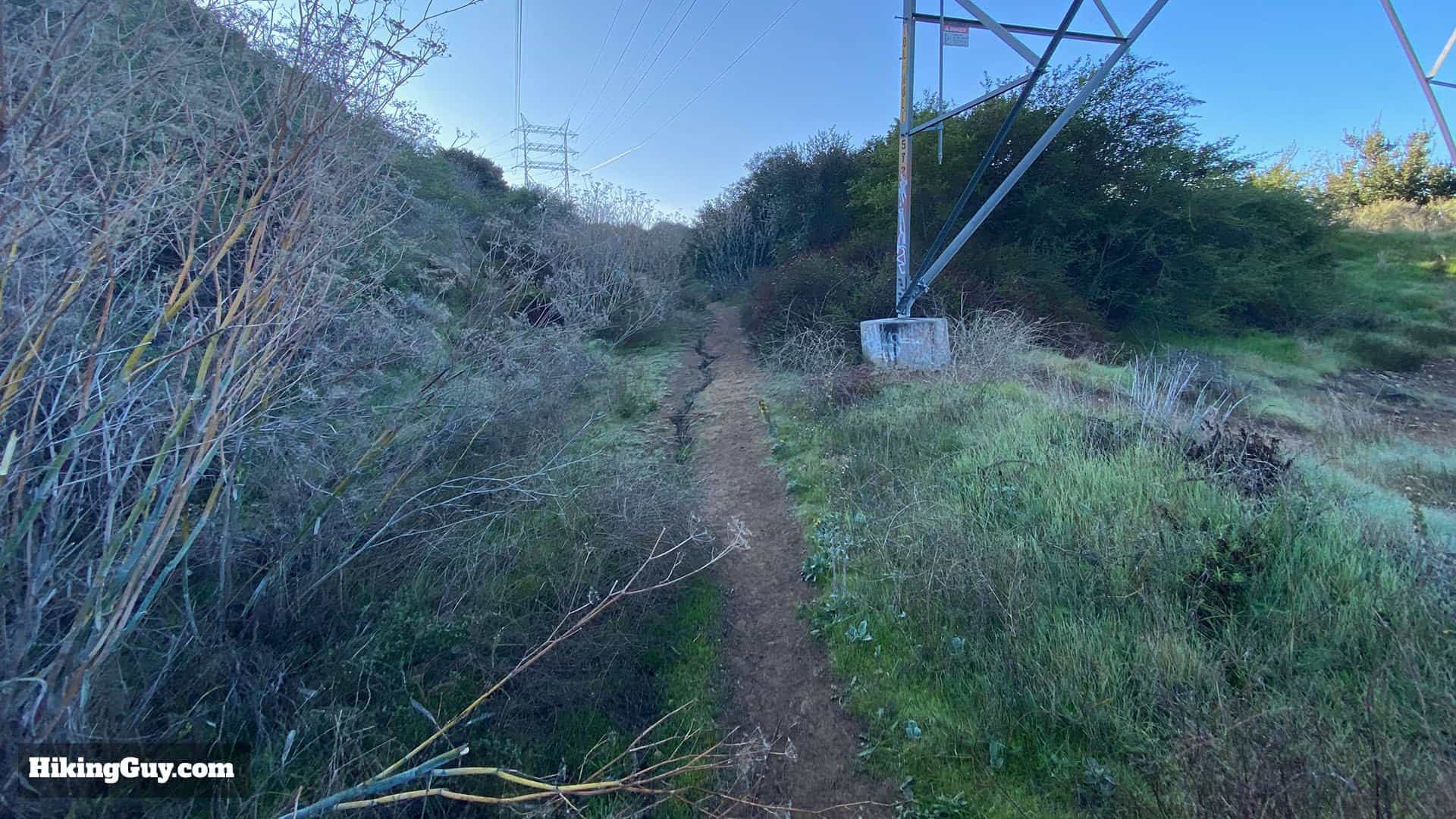 Wisdom Tree Hike Directions 54