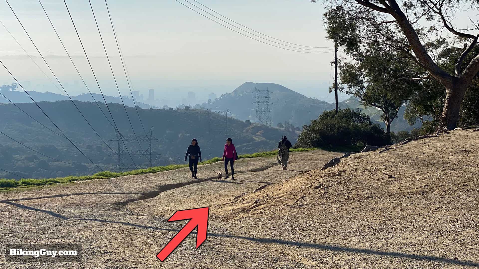 Wisdom Tree Hike Directions 56