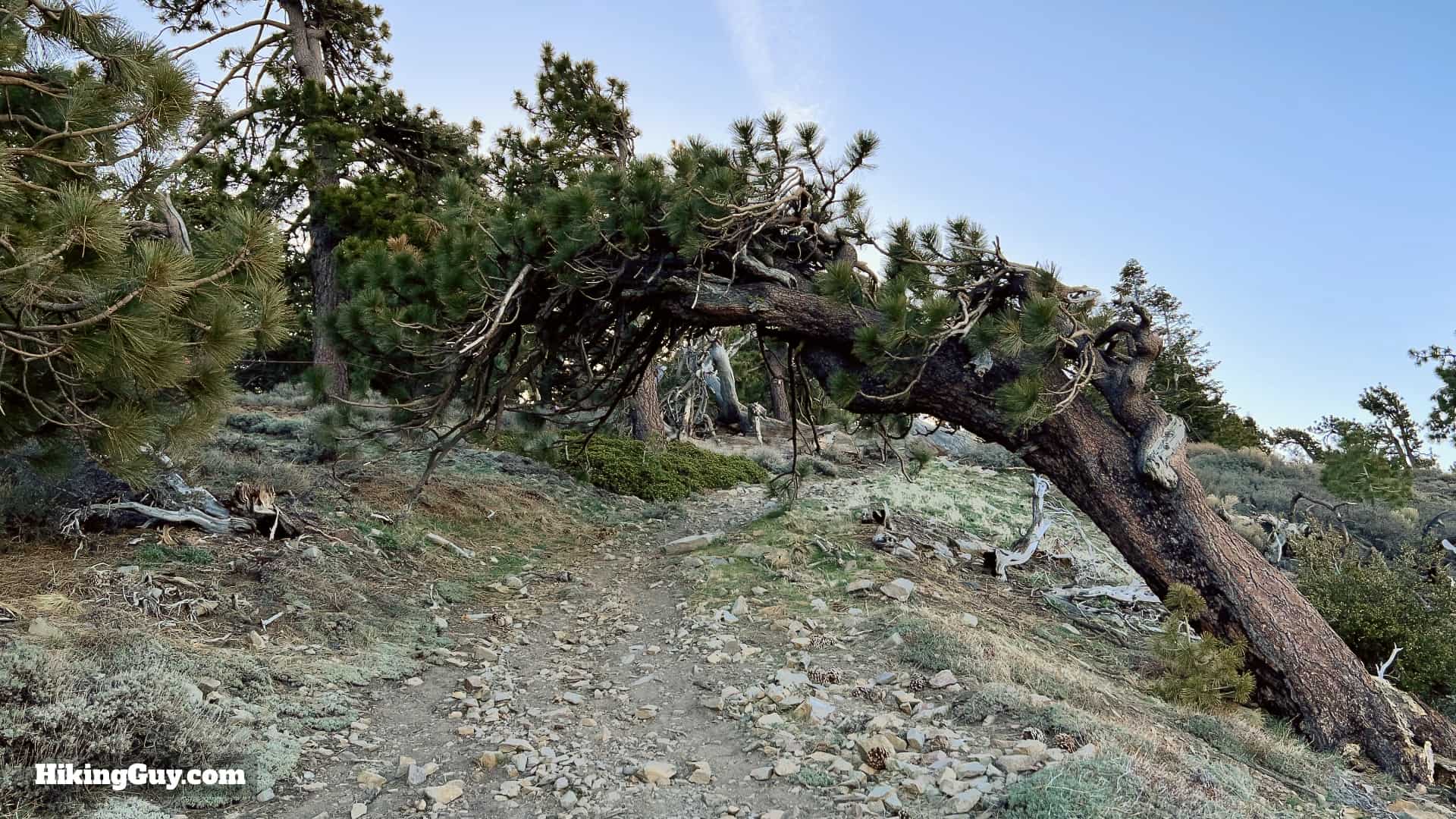 Wright Mountain Ca Hike Directions 15