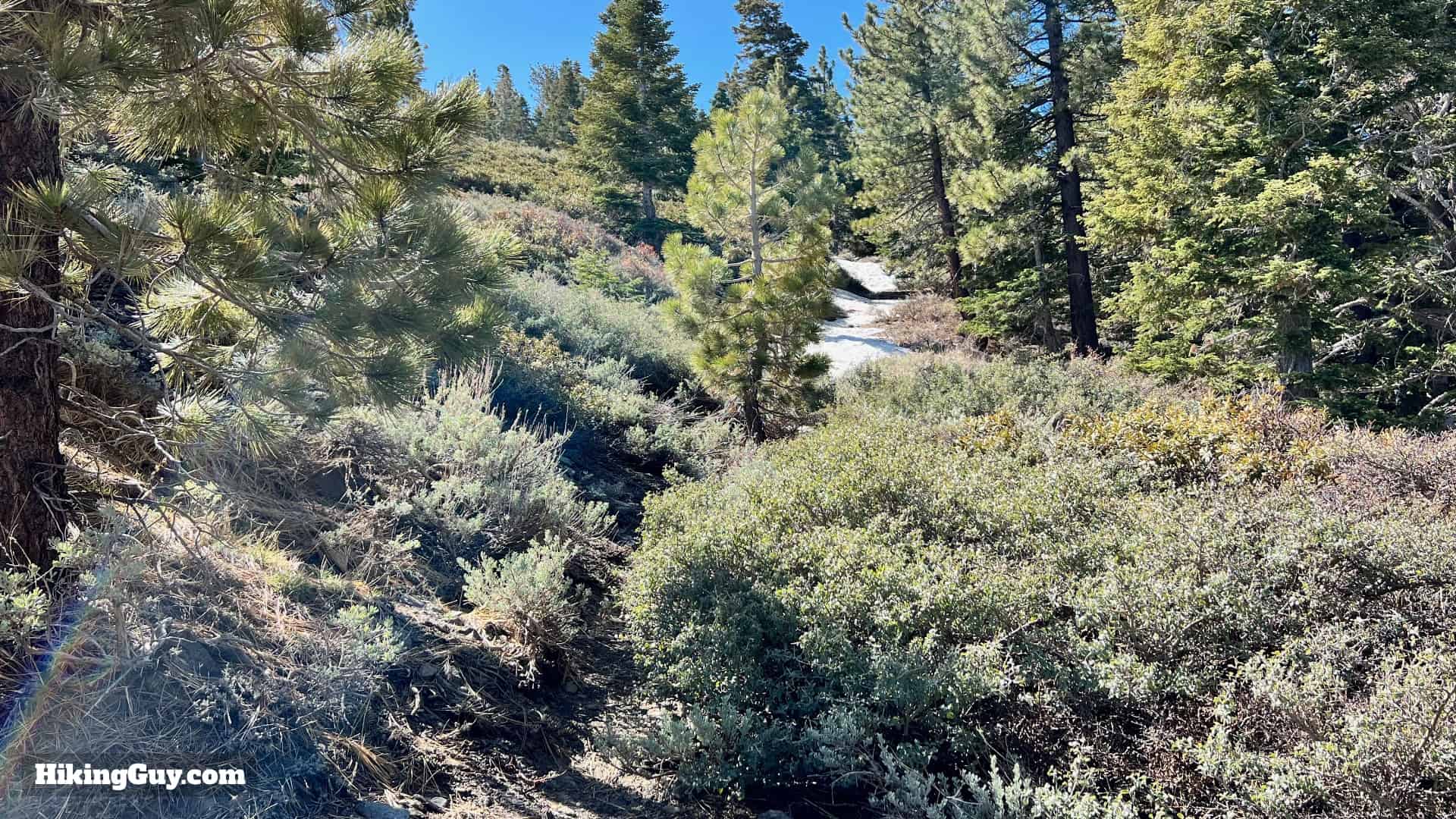 Wright Mountain Ca Hike Directions 48