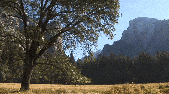 Yosemite Seasons